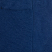 Children's egyptian cotton socks - Royal blue | Doré Doré