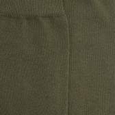 Children's egyptian cotton socks - Cameleon | Doré Doré