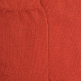 Children's egyptian cotton socks - Copper | Doré Doré