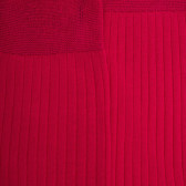 Men's fine gauge ribbed 100% cotton lisle knee-high socks - Cherry | Doré Doré