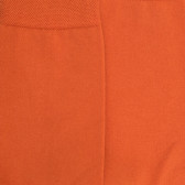 Women's fine gauge egyptian cotton socks - Apricot | Doré Doré