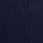 Ribbed knee-high socks in mercerised cotton lisle - Navy blue | Doré Doré