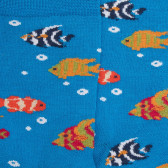 Kid's short socks made of lisle with coloured fish pattern - Blue | Doré Doré