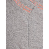 Women's short socks in plain cotton terry with stripes and glitter logo - Steam gray | Doré Doré
