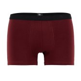 Underwear boxer shorts for men in plain stretch cotton with logoed elastic band - Aubergine | Doré Doré