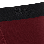 Underwear boxer shorts for men in plain stretch cotton with logoed elastic band - Aubergine | Doré Doré