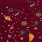 Planet cotton socks - Burgundy | Doré Doré