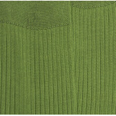 Men's 100% mercerised cotton lisle ribbed socks - Green | Doré Doré