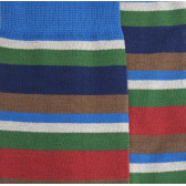 Men's socks in cotton - Multicolour stripes - Blue background | Doré Doré