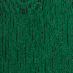Men's 100% mercerised cotton lisle ribbed socks - Chlorophyll'green | Doré Doré