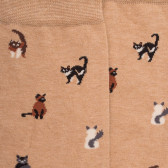 Men's cotton socks with cats repeat pattern - Beige Desert | Doré Doré