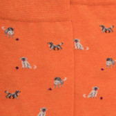 Men's cotton socks with dogs repeat pattern - Orange | Doré Doré