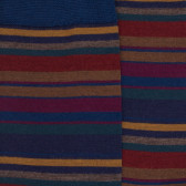 Multicoloured pinstripes socks - Blue | Doré Doré