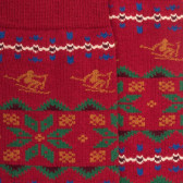 Men's cotton socks with Christmas motif - Red | Doré Doré