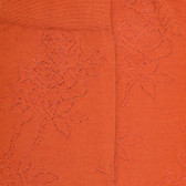 Women's plain wool socks with transparency - Orange | Doré Doré