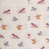 Women's lisle socks with a goldfinch pattern - Cream | Doré Doré