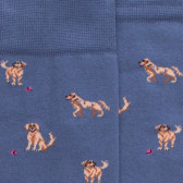 Men's Egyptian cotton socks dog pattern - Navy Blue | Doré Doré